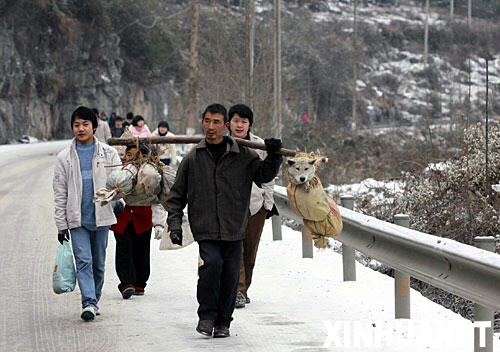 �ؑc����ꖿh�Ĵ����ڸ��w���eѩ�Ĺ�·�����ߣ�1��26�Քz����