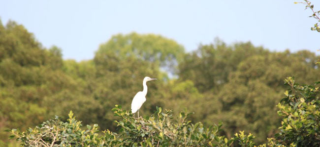 �B�T����ر��o(h��)��á���������