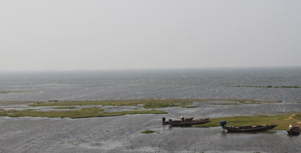 ����V��(d��)�ҡ��Ї�(gu��)��ر��o(h��)�����沩��