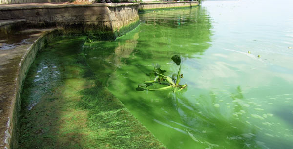 ��أ��nã����韟o߅