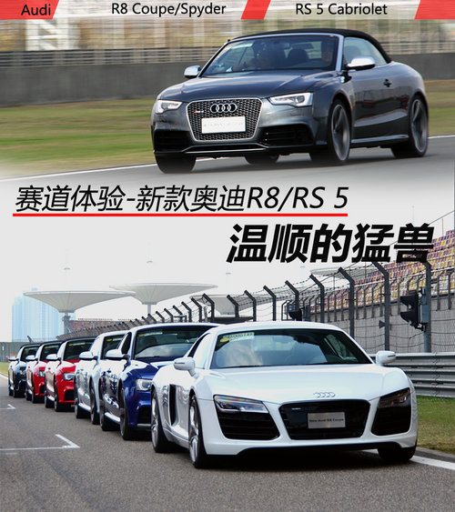 ���˵Ĳ�ֻ������ ِ���w�(y��n)�¿�?yu��n)W��R8