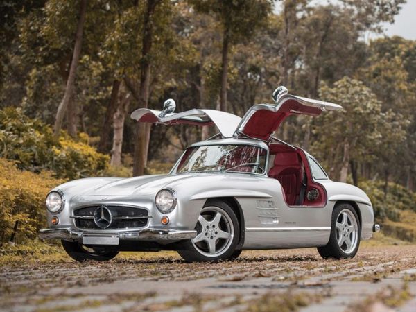 ���Y300SL���b