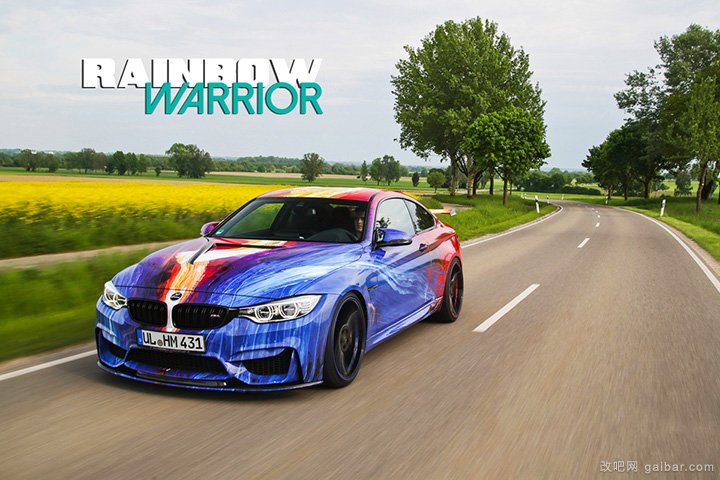  Hamann���b���RM4