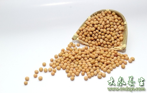 4�Nʳ��^���ܺ��i��ͬʳ