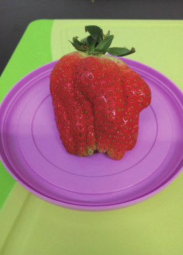 ���β�ݮ�������W(w��ng)����e�����ƌW(xu��)