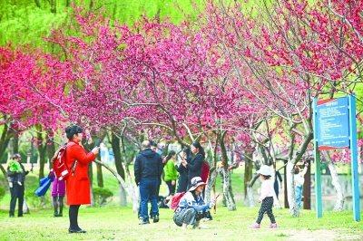 ��h�^���T�\ӭ�߷匣�Һ��������l(f��)��������ָ��(sh��)��