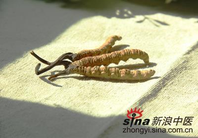 ���x�Ĳ�  ����]�k�����ܵ����a(b��)Ʒ