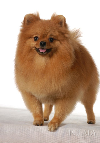 ���B(y��ng)��Ȯǰ��Ҫע������