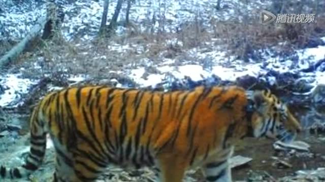 ���վ�֮������ɶ�����Ї������T�� �҂��ƻ����ҽ؈D