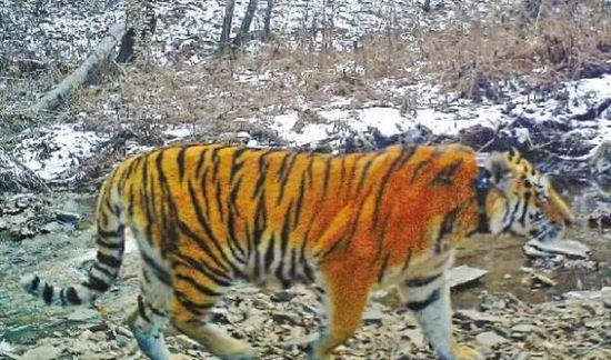 �վ��ϻ��뾳���� �֘I(y��)���L:�Ͳ���ڹ���(�D)