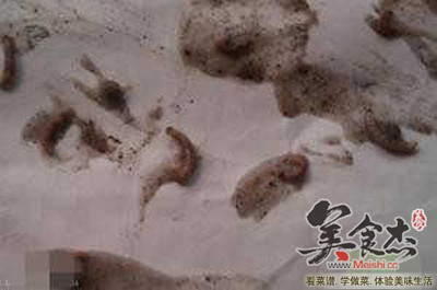 һ���Ϸ���֥����Գ�8�l�x��