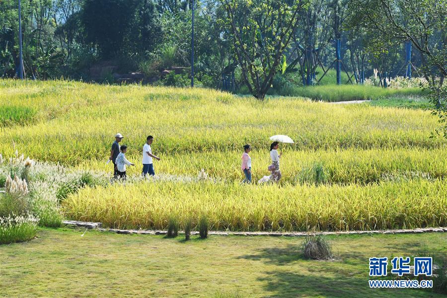 ���h(hu��n)������1�����ΏVꖍu �w�(y��n)���B(t��i)�ޏ�(f��)�ɹ�