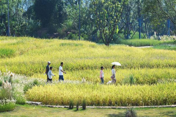 ���h(hu��n)������1�����ΏV�(y��ng)�u �w�(y��n)���B(t��i)�ޏ�(f��)�ɹ�