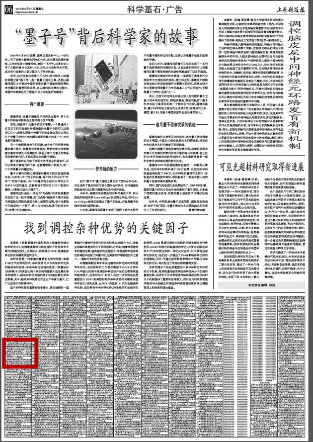 ����(qi��ng)�l(f��)�zʧ��