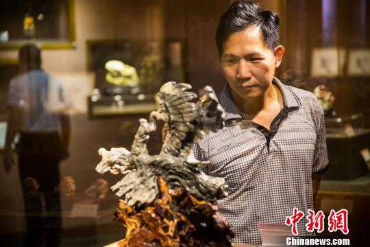 ���ټ�ʯ����Ʒ������������չ�����Z��ˇ���g(sh��)�����⪄��