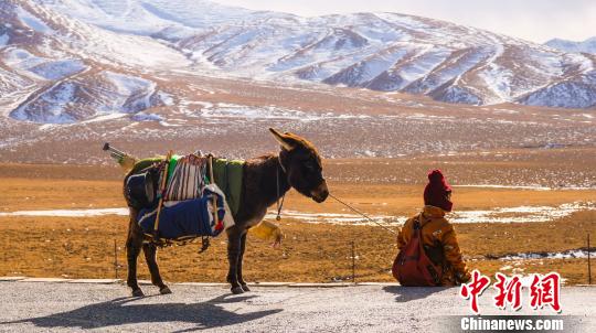 ��������ɫ�����������Ϻ����H�Ӱ��(ji��) ���D �z