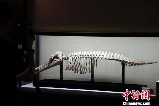 ׷���Ї����粩���^�vʷ�Ϻ�����չ�^(li��n)չ�ټ����F��Ʒ