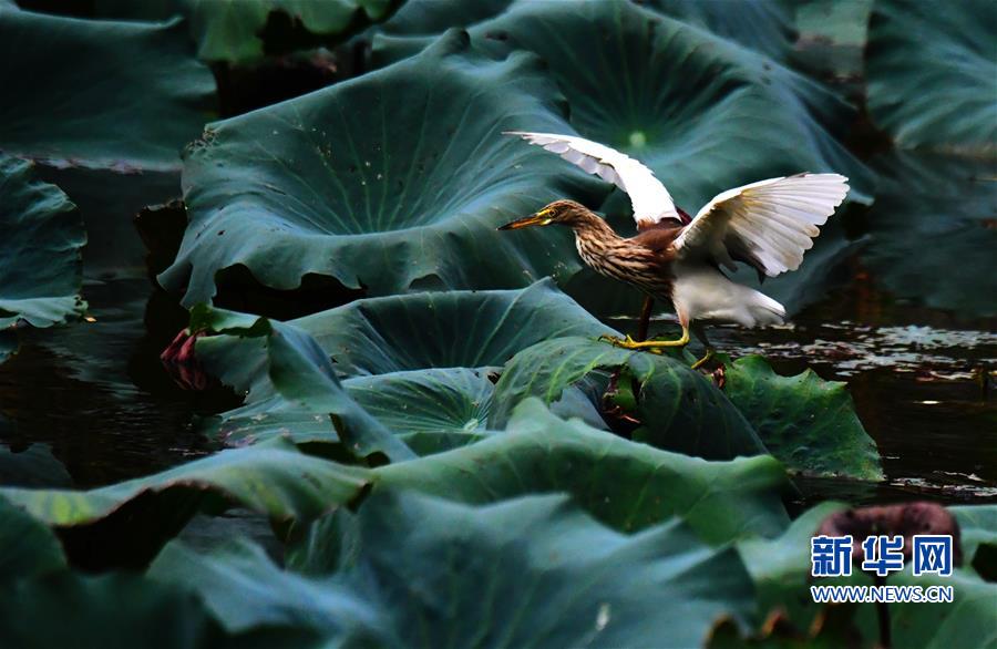 �������Ї�����1�����ݣ�����r��(ji��) �L���箋