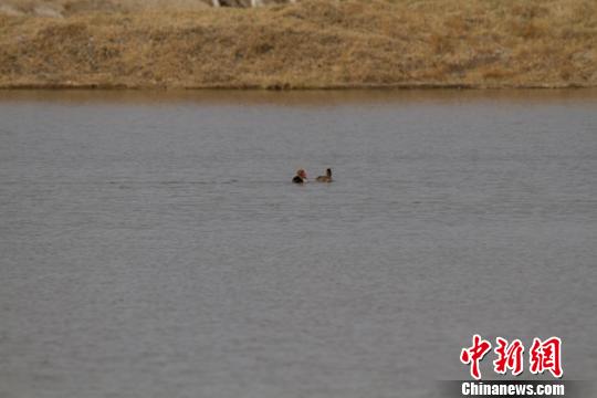 ���C��ڝ�����B(t��i)�h(hu��n)�����D(zhu��n)�u�ɺ��B���a�oվ�����D��