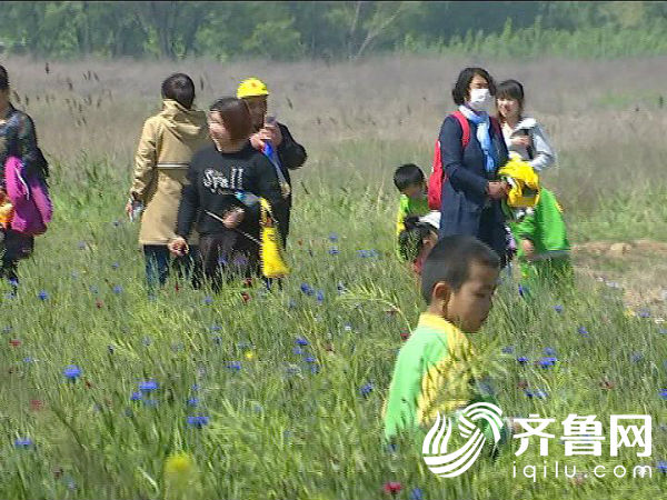 �R�ӣ���һ ������_20170428153337