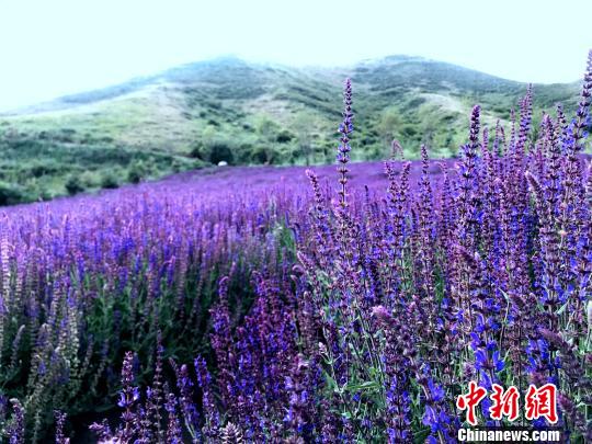 �ຣͶ��4.65�|Ԫ��ʩ���η�ؚ׌3.9�fؚ���˿�Óؚ