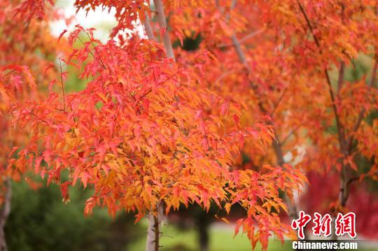 ���պ�¶�����g�Ǹ��p�ﾰ���ֵ؅^(q��)ջ���