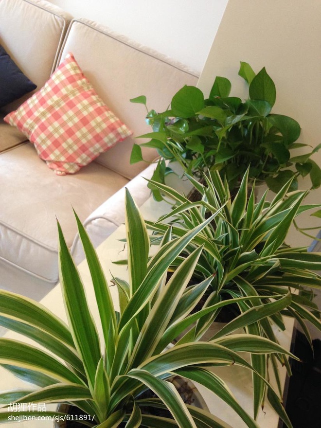 ��ĩ?��(y��u)��_1350651