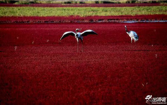 ���·��m��ȥ�������������������ĵط�