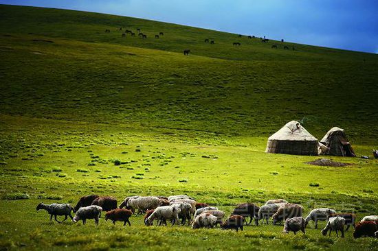 ��ĩ��ԭ�� ��(l��i)һ��(ch��ng)�����ķ���