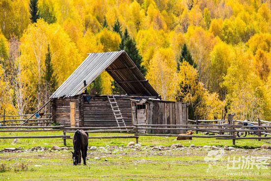 ���·��m��ȥ�������������������ĵط�