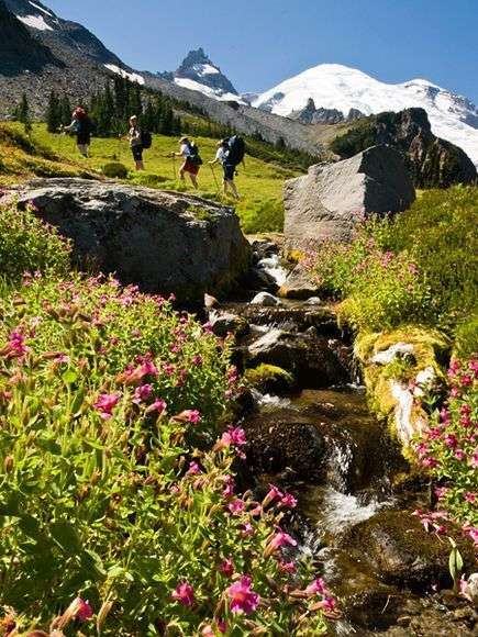 �c(di��n)���M(j��n)����һ�(y��)