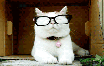 ���촩����Ь��õļ���(ji��)���� ����3H�����_