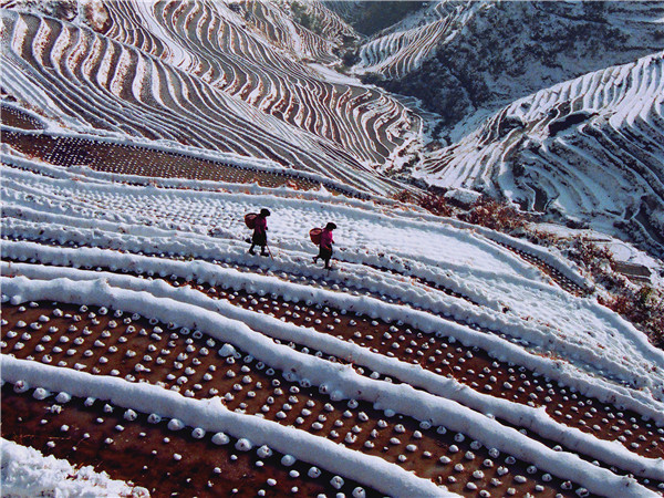 ������� ����.jpg