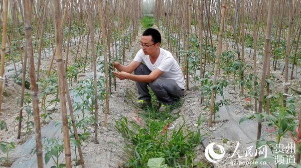 ����ͤ:���F(xi��n)�Ĳ�ʿ�����g���A���D(zhu��n)��