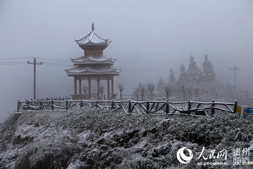 �D��������w�ě�ͤ��