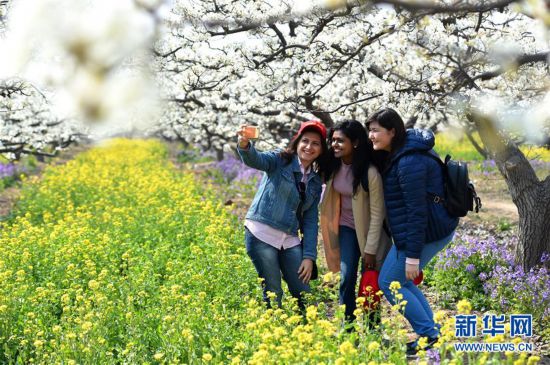 #�����(hu��)����1��ʯ���f��������˕����������r(n��ng)��