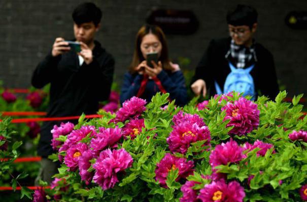 #�����(hu��)����2���ӱ��������ꝙĵ��ӭ�́�