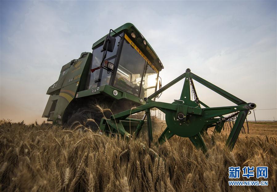 ����(j��ng)������1���ӱ��䰲����ץ�r(n��ng)�r �w���w�}