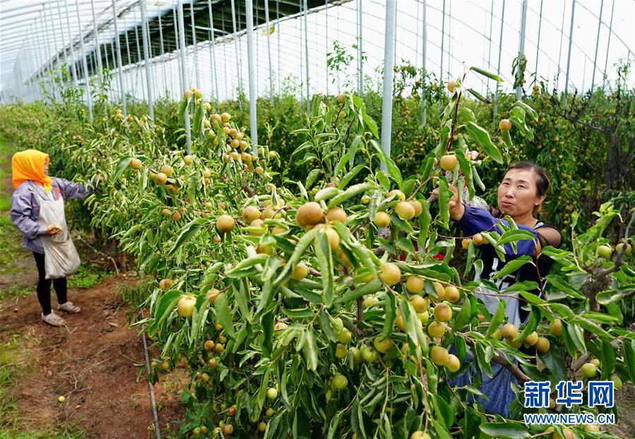 ����(j��ng)��(j��)����1���ӱ��S򑣺��������