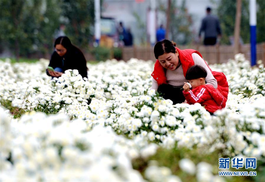 ����(j��ng)��(j��)����1�����ջ���(j��ng)��(j��)�������l(xi��ng)�����d