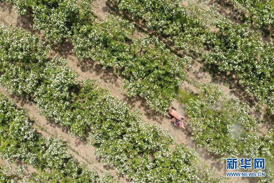 ����������1���ӱ���ӣ�ɽ髻��_�r��æ