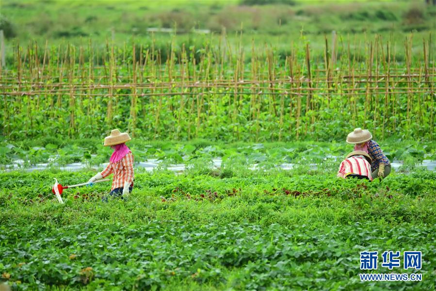 #�����Aҕ�磩��2���@�U���� �r(n��ng)æ����(d��ng)�r(sh��)