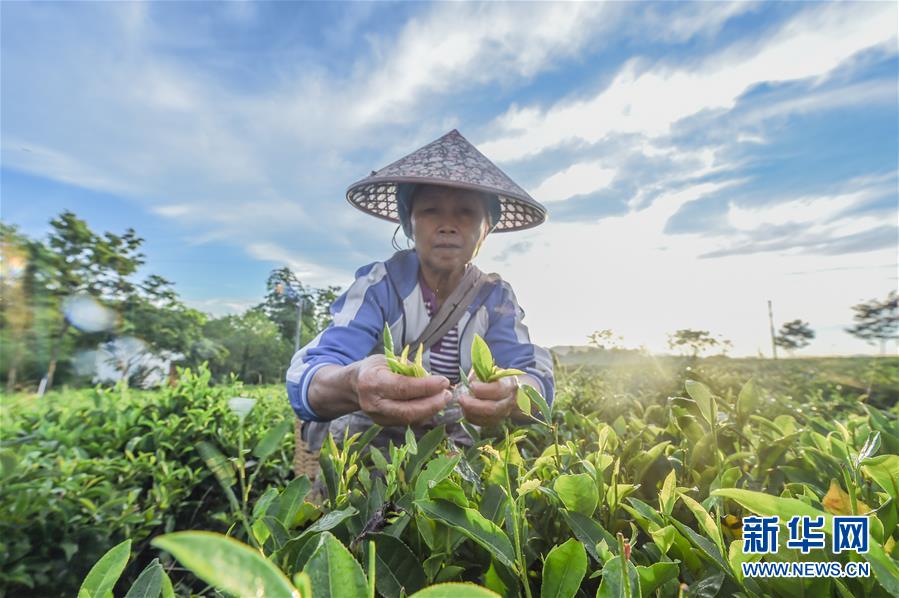 ���������1�����ϣ����l(xi��ng)���~��Óؚ