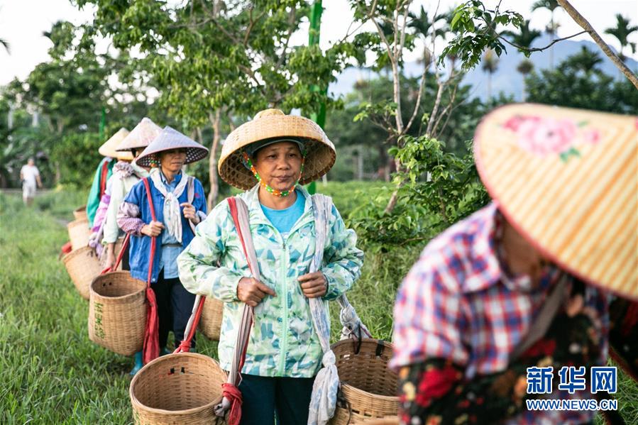 ���������2�����ϣ����l(xi��ng)���~��Óؚ