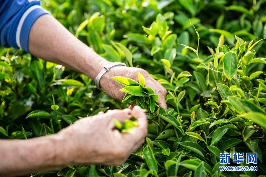 ���������3�����ϣ����l(xi��ng)���~��Óؚ