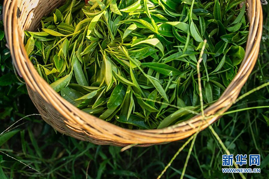 ���������6�����ϣ����l(xi��ng)���~��Óؚ