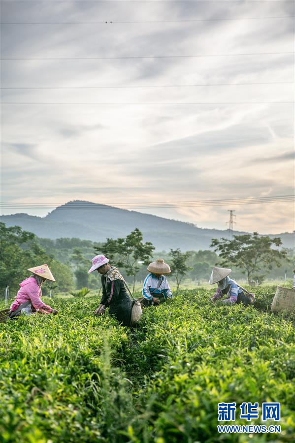 ���������7�����ϣ����l(xi��ng)���~��Óؚ