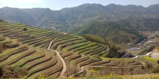 ȫ���l(xi��ng)���������c�塪��ʯȪ�h�������δ�