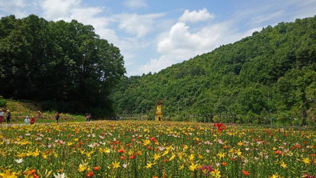 ȫ���l(xi��ng)���������c�塪��ʯȪ�h�������δ�