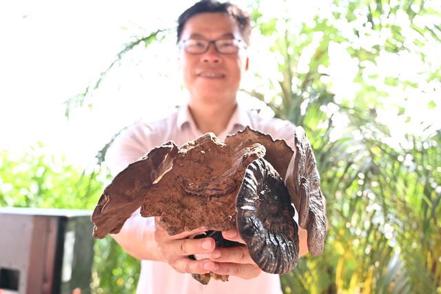 �����л���ý�����p�����l(xi��ng)�塱ϵ�л��(d��ng)��ʽ�_��